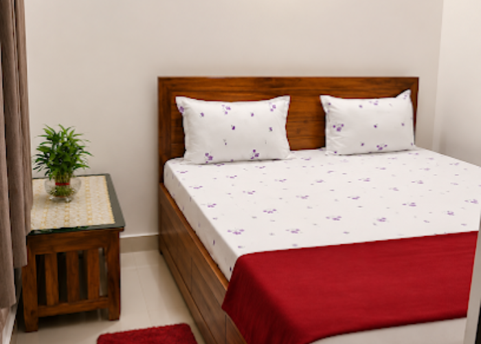 Luxury Hotel Room